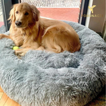 Relaxed dog and cat bed