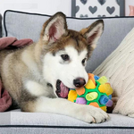 Sniffing Dog Toy