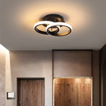 Modern and elegant ceiling lamp