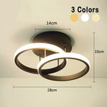 Modern and elegant ceiling lamp