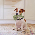 Dinosaur Plush Toy | For your favorite pet - Cute - Hours of Fun - 100% Safe (1 + 1 FREE)