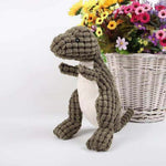 Dinosaur Plush Toy | For your favorite pet - Cute - Hours of Fun - 100% Safe (1 + 1 FREE)