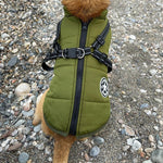 Insulated Warm Dog Coat