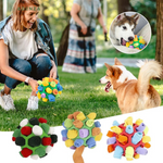 Sniffing Dog Toy