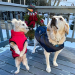 Insulated Warm Dog Coat