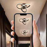 Modern and elegant ceiling lamp
