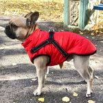Insulated Warm Dog Coat