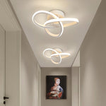 Modern and elegant ceiling lamp